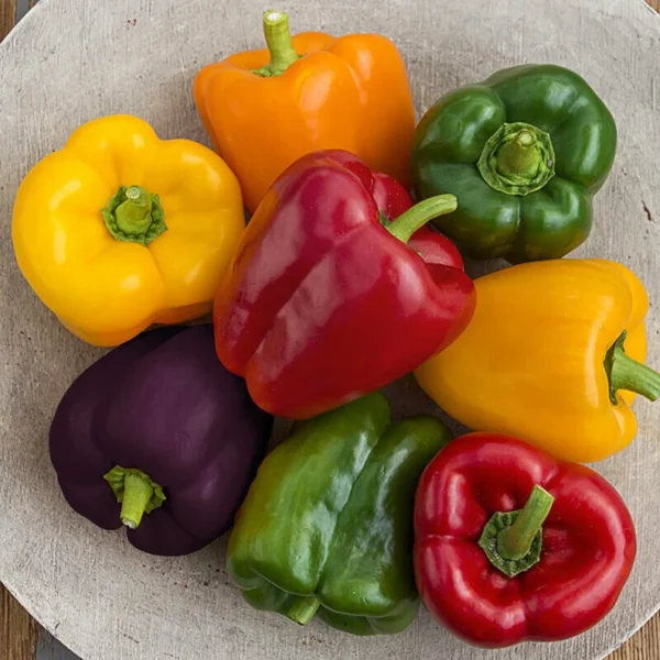Paprika mix 5 colours mixed - Capsicum annuum H. Zaden