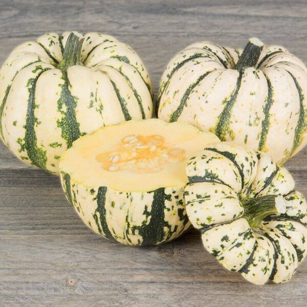 BIO Delicata-pompoen 'Sweet Dumpling' – Cucurbita pepo Zaden