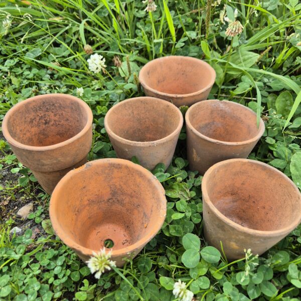 Terracotta potje - Oorworm pot - Afbeelding 3