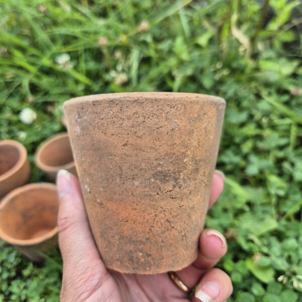 Terracotta potje - Oorworm pot