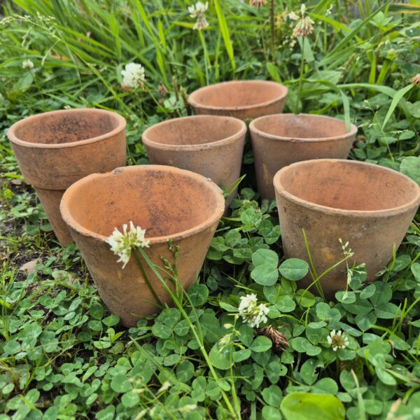 Terracotta potje - Oorworm pot - Afbeelding 2